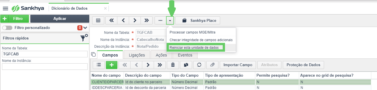 Erro interno Metadados do campo 'X' não inicializados 1.png
