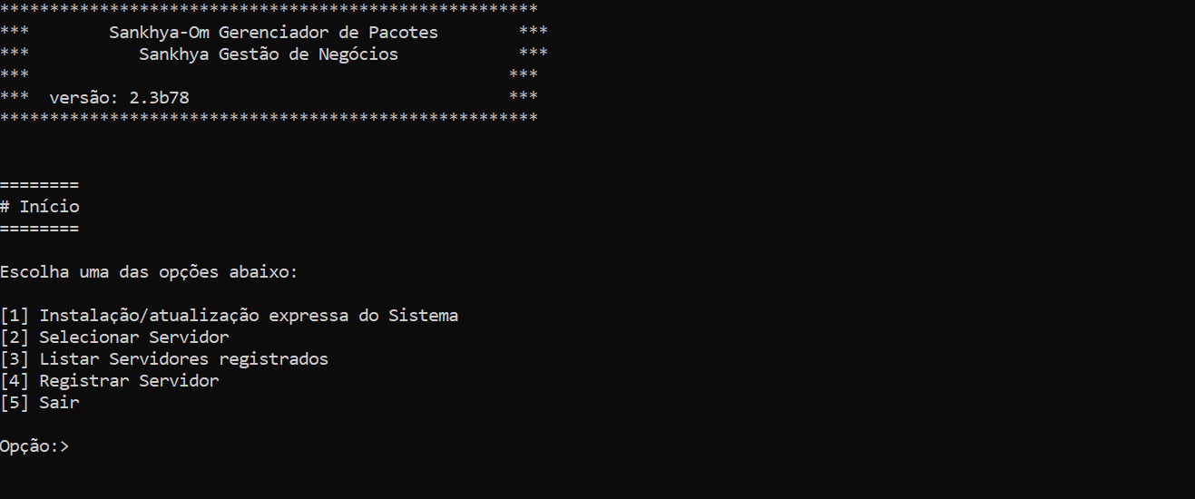 Configuração do Wildfly.png