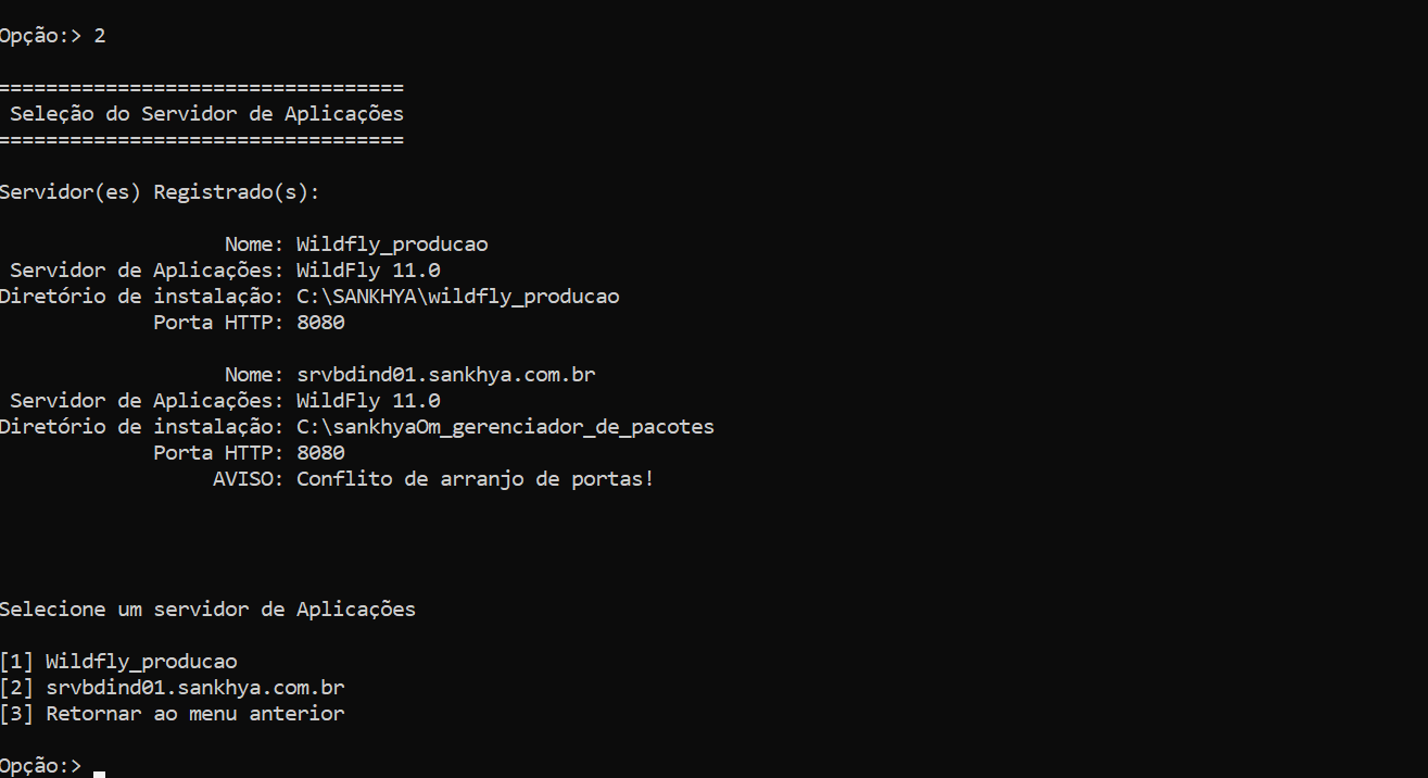 Configuração da Porta Wildfly-Imagem 3.png
