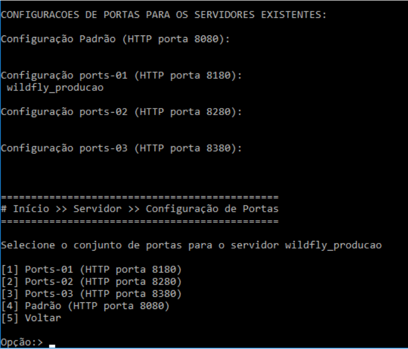 Configuração da Porta Wildfly-Imagem 4.png