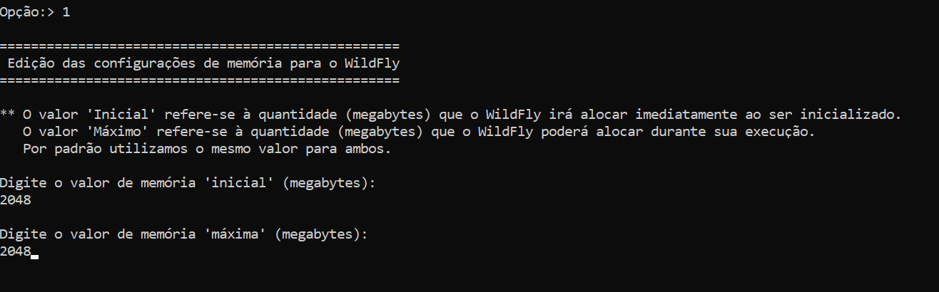 Configuração de memória do Wildfly-Imagem 2.png