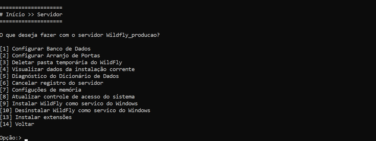 Configuração de memória do Wildfly-Imagem 1.png