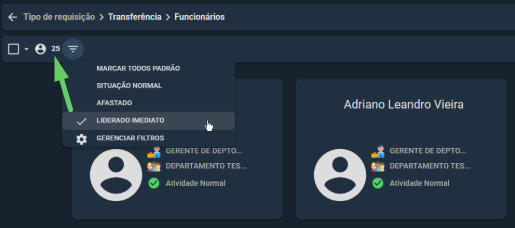 filtros-na-requisicao-transferencia.png