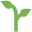 :seedling: