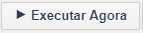executar_agora.png