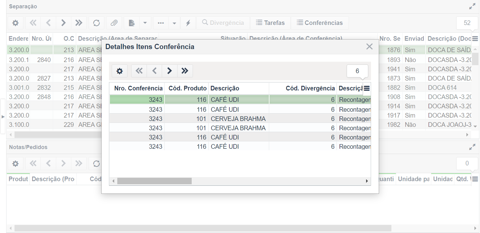 detalhes_itens_confer_ncia2.png